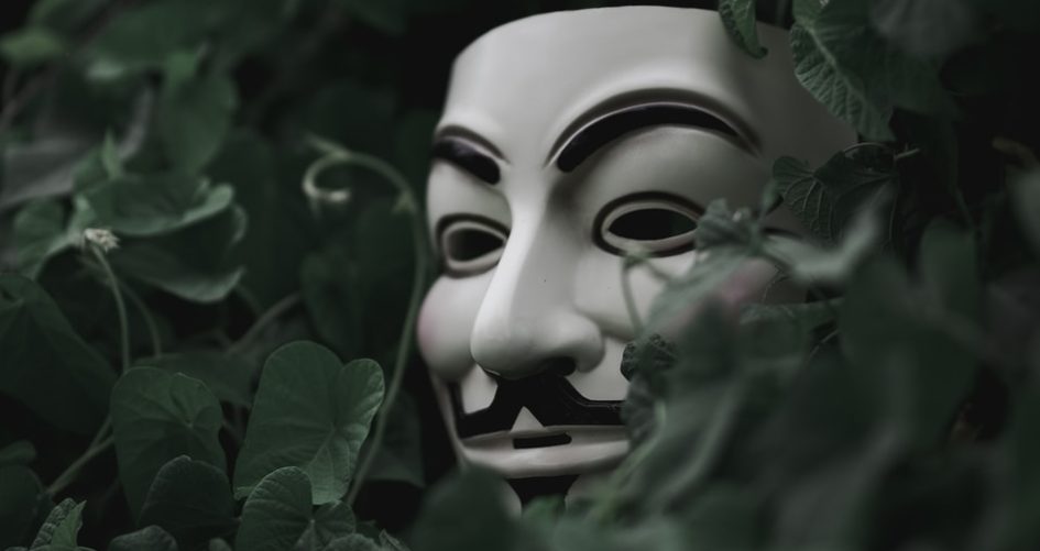 selective focus short of Guy Fawkes mask hiding behind plants